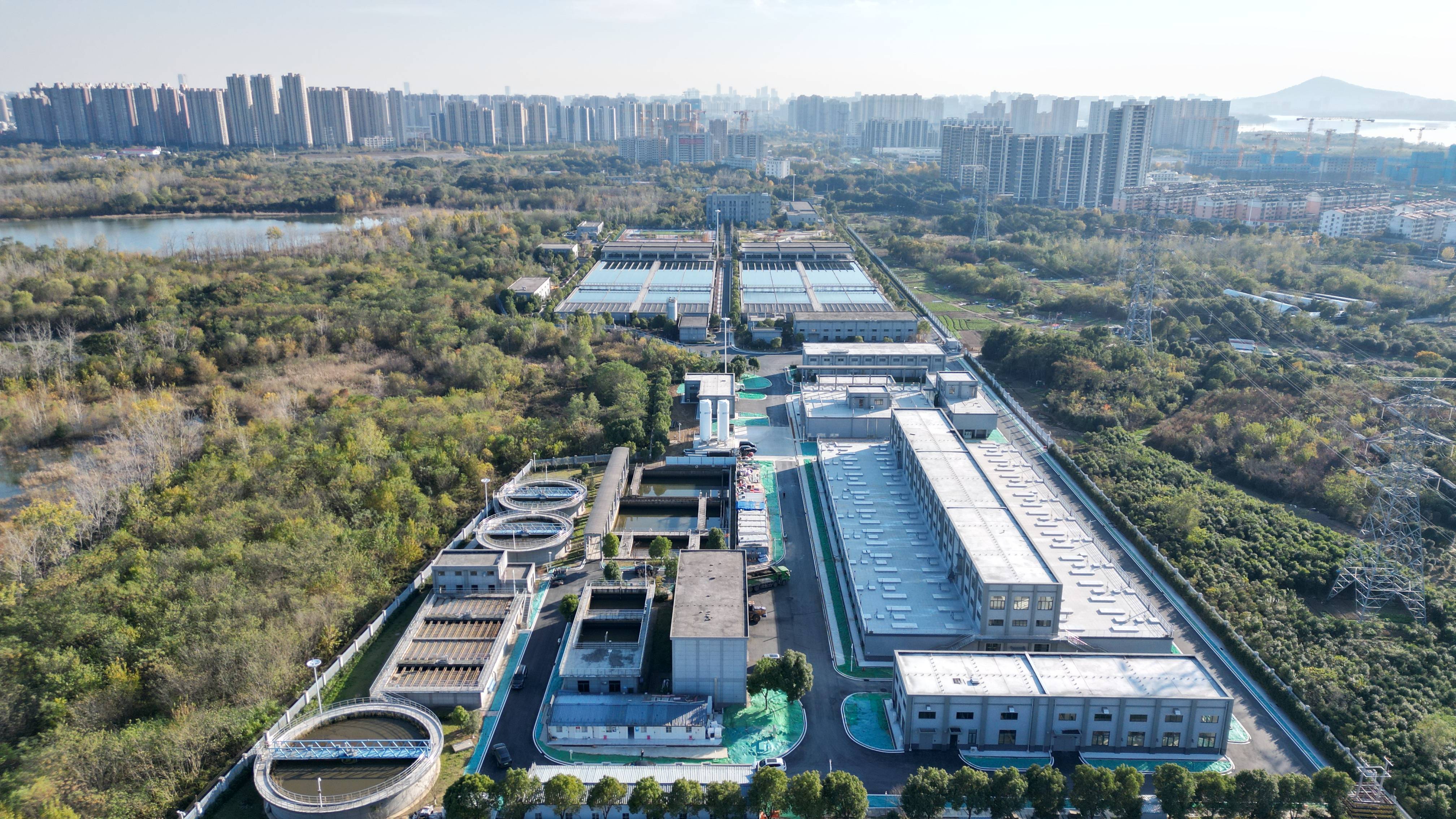 嘉兴市合肥专业企业价值增长(合肥市重点企业产业目录)