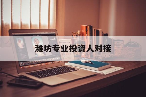 嘉兴市潍坊专业投资人对接(潍坊专业投资人对接中心)