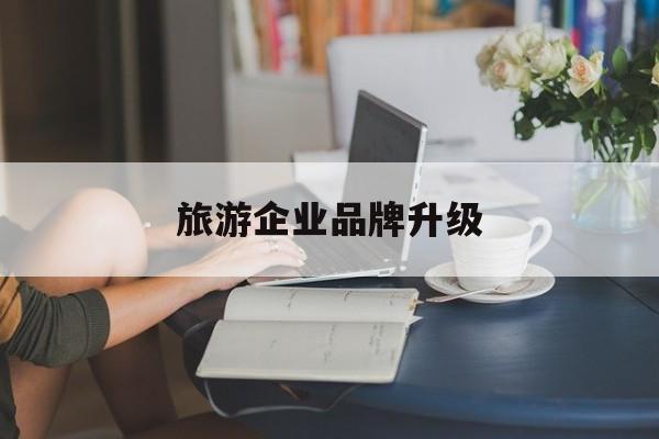 嘉兴市旅游企业品牌升级(旅游企业品牌升级措施)