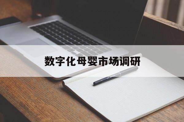 嘉兴市数字化母婴市场调研(数字化母婴市场调研报告)